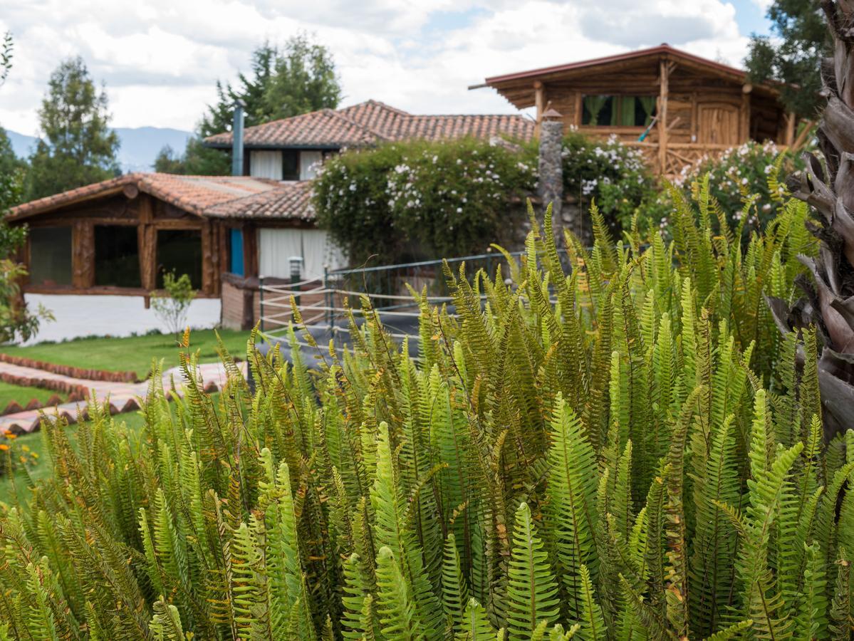 Zaysant Ecolodge Puembo المظهر الخارجي الصورة