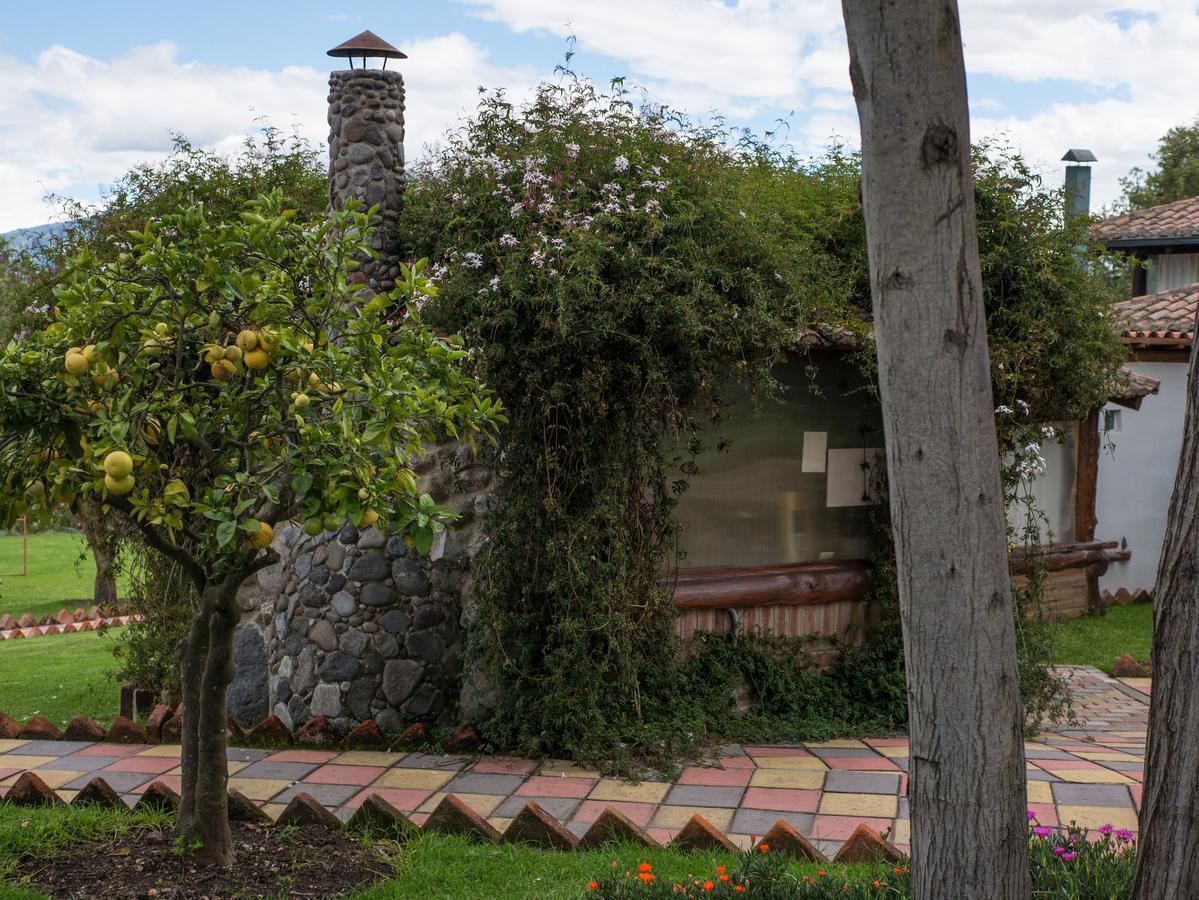 Zaysant Ecolodge Puembo المظهر الخارجي الصورة